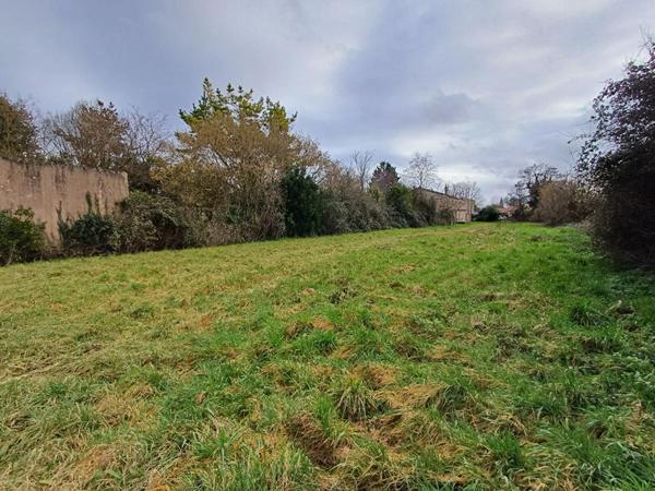 La Rochénard - Terrain à bâtir de 2 200m² + 2 300m²