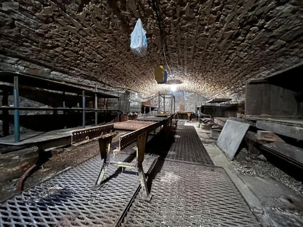 Maison à vendre à Nogent en Haute-Marne (52800), ref : SGML116090