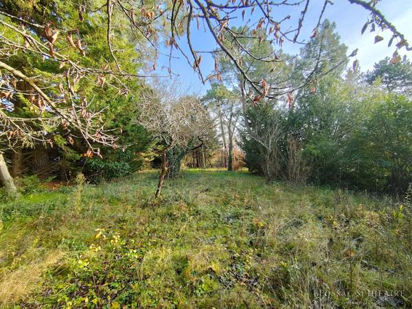 Maison de 90,05m² et dépendance d'environ 30m² sur 2 019m² de terrain avec piscine