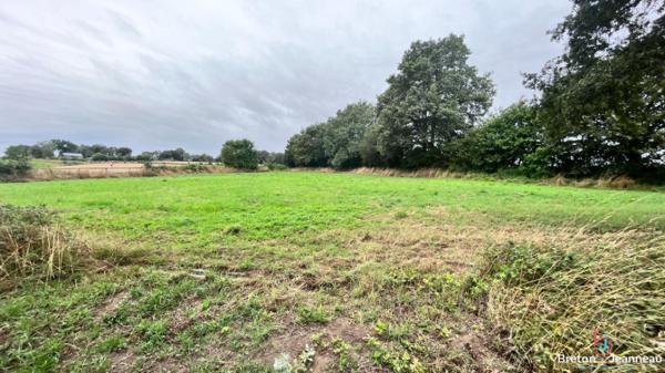 Longère sur 4ha 33 secteur Saint-Berthevin