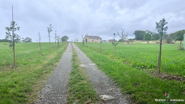 Longère sur 4ha 33 secteur Saint-Berthevin