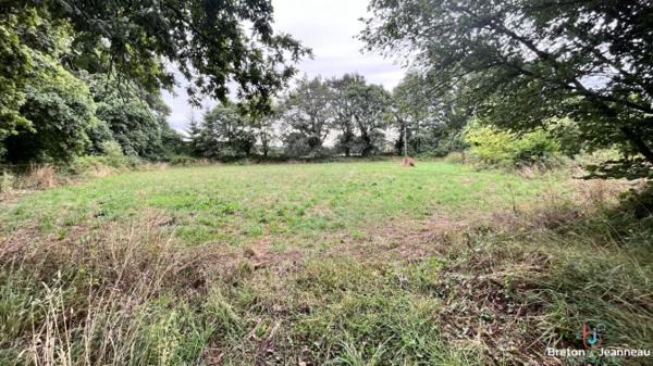 Longère sur 4ha 33 secteur Saint-Berthevin