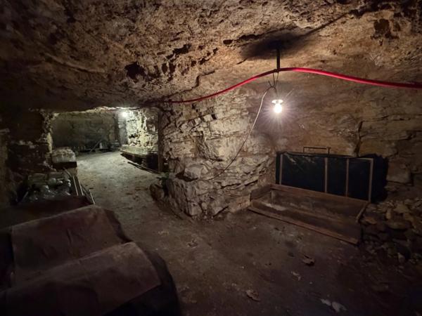 LUCON (85) CENTRE IMMEDIAT ADORABLE MAISON EN PIERRES A RENOVER AVEC DEPENDANCES ET JARDIN A PRIX FOU