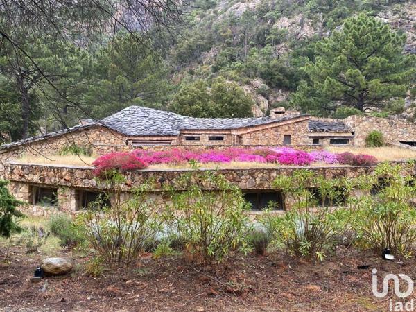 Maison à vendre 7 pièces 490 m² Sari-Solenzara