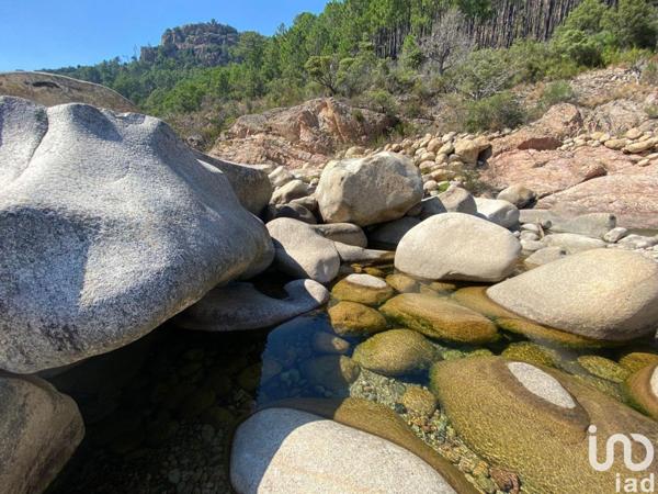 Maison à vendre 7 pièces 490 m² Sari-Solenzara