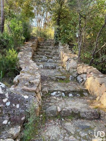 Maison à vendre 7 pièces 490 m² Sari-Solenzara