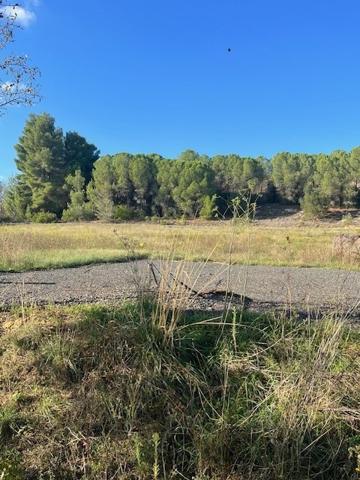 TERRAIN VIABILISE - 2 350 M² - A 6KM DE LIMOUX