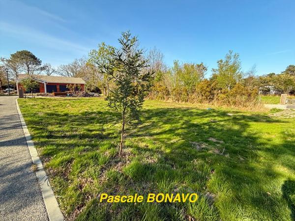 A 600m du Lac d'Hourtin - Terrain viabilisé - A saisir rapidement !!!