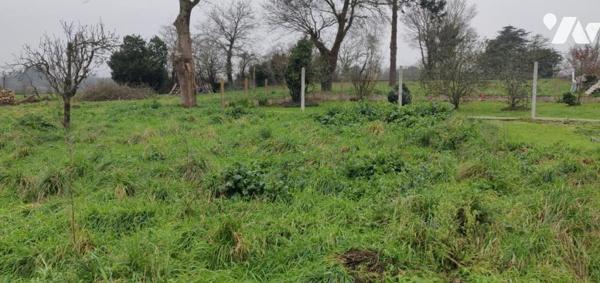 TERRAIN CONSTRUCTIBLE PONTCHATEAU