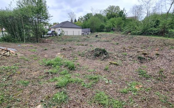 Terrain à vendre    Pouillon