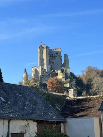 À vendre - Maison ancienne, 9 pièces située à Lavardin (41800)