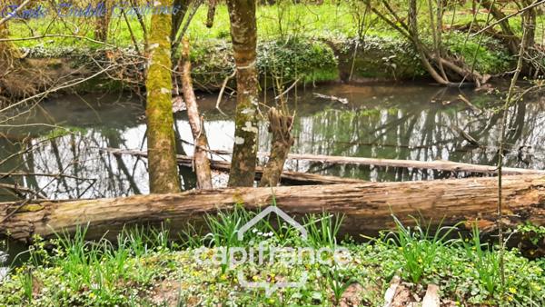 Dpt Sarthe (72), à vendre LA CHAPELLE GAUGAIN maison P8 de 208 m² - Terrain + de 2hectares