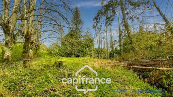 Dpt Sarthe (72), à vendre LA CHAPELLE GAUGAIN maison P8 de 208 m² - Terrain + de 2hectares