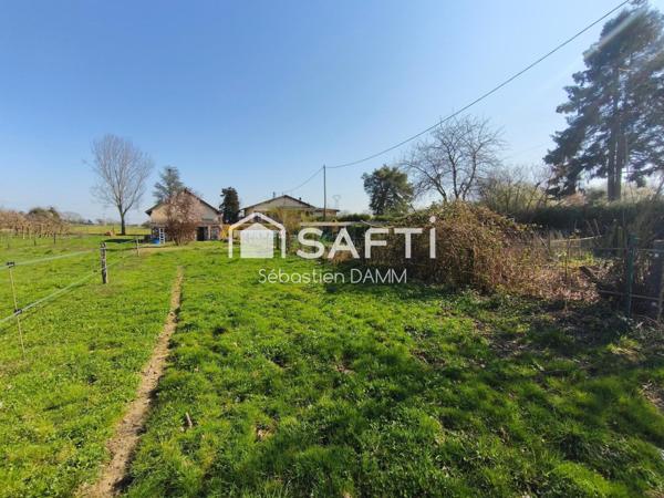 À Reiningue, vivez comme dans une maison individuelle au cœur de la nature, avec une vue dégagée sur les champs, 163 m² de confort, 2000 m² de terrain et un calme absolu