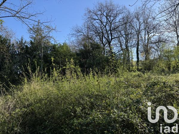 Terrain à vendre 1 887 m² Saint-Benoît