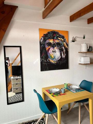 Duplex 1 pièce(s) 1 chambre(s) 12 m²