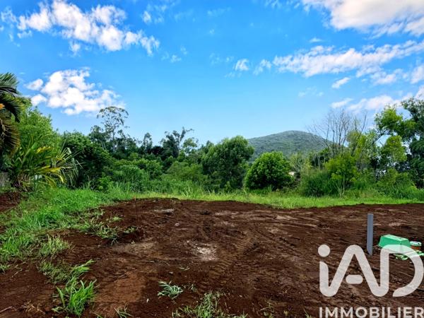 Terrain à vendre 632 m² Saint-Pierre