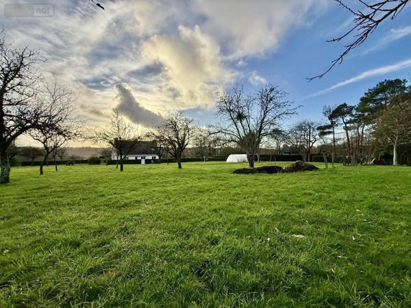 Maison à vendre à Pluneret dans le Morbihan (56400), ref : 56024-799