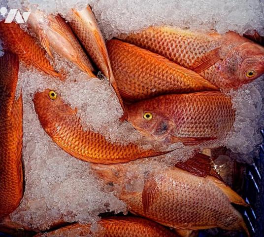 FONDS DE COMMERCE – POISSONNERIE – NORD LOIRE