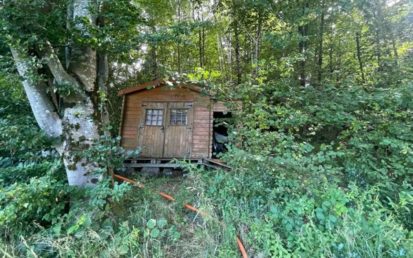 Maison à vendre    3 pièces •  Anould