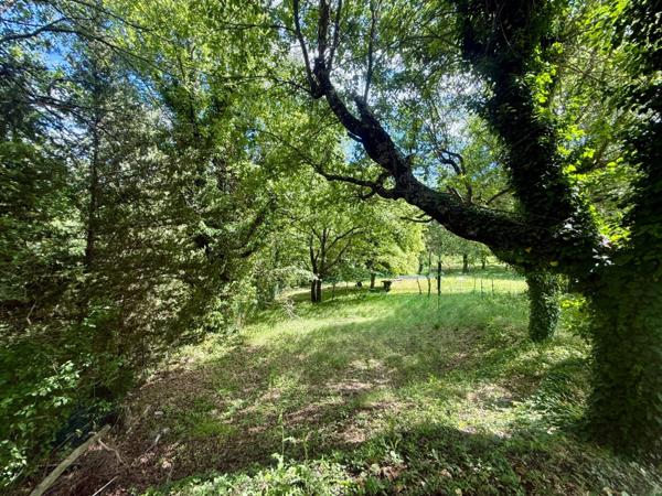 Maison familiale 5 pièces avec piscine, suite parentale et studios – Un bien rare et lumineux à découvrir sans tarder