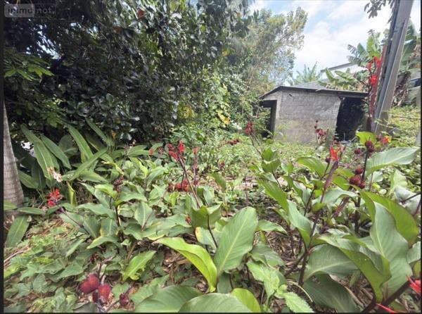 Maison à vendre à Saint-Joseph à la Réunion (97480), ref : 97410-1088971