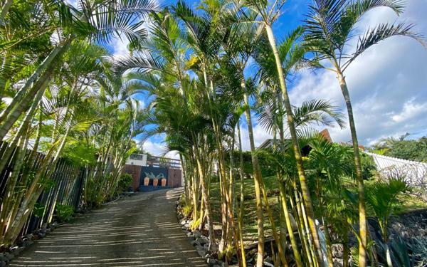 Maison à vendre    6 pièces •  Saint-Pierre