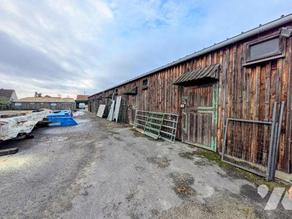 Proche DUNKERQUE. Idéal centre équestre, ou activité en rapport, ensemble immobilier construit ...