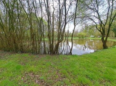 Terrain de loisirs - Bois - Etang à vendre à Prée d'Anjou en Mayenne (53200), ref : 076/2758-MAD