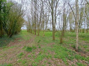 Terrain de loisirs - Bois - Etang à vendre à Prée d'Anjou en Mayenne (53200), ref : 076/2758-MAD