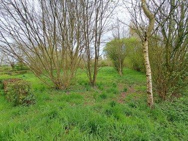 Terrain de loisirs - Bois - Etang à vendre à Prée d'Anjou en Mayenne (53200), ref : 076/2758-MAD