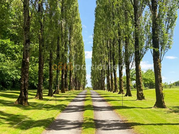Vente
                Demeure de Prestige1800 m² - 30 Pièces -
                    SAINT-LO (50000)