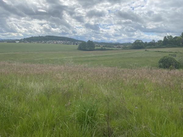 Terrain
        
        - 1159 m² 189 000 € *