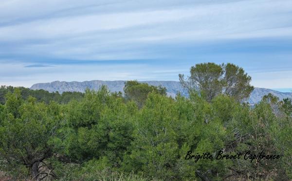 Maison traditionnelle à vendre 7 pièces - 176 m2 FUVEAU (13)