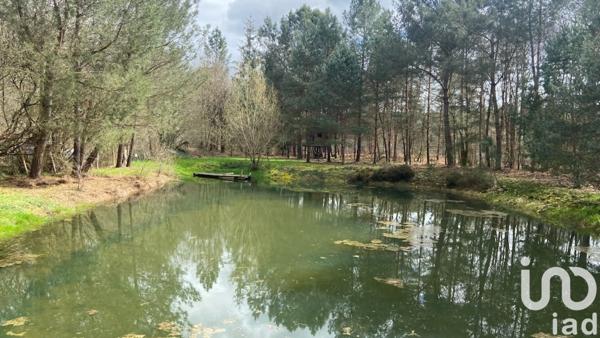 Terrain à vendre 3 200 m² Baugé-en-Anjou