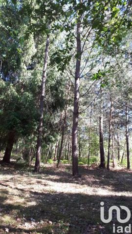 Terrain à vendre 3 200 m² Baugé-en-Anjou