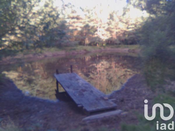 Terrain à vendre 3 200 m² Baugé-en-Anjou