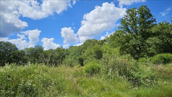 Terrain à vendre |  Orçay |  15293 m²