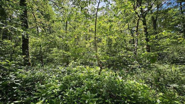 Terrain à vendre |  Orçay |  15293 m²