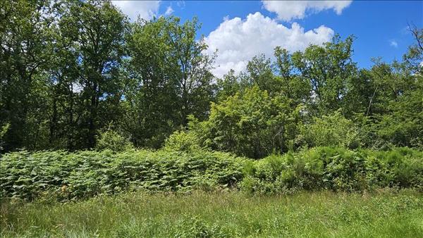 Terrain à vendre |  Orçay |  15293 m²