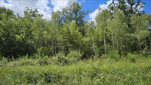 Terrain à vendre |  Orçay |  15293 m²