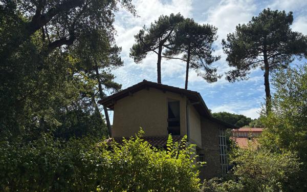 Maison à vendre    5 pièces • 131 m2 Seignosse