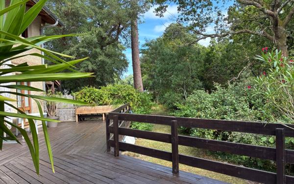 Maison à vendre    5 pièces • 131 m2 Seignosse