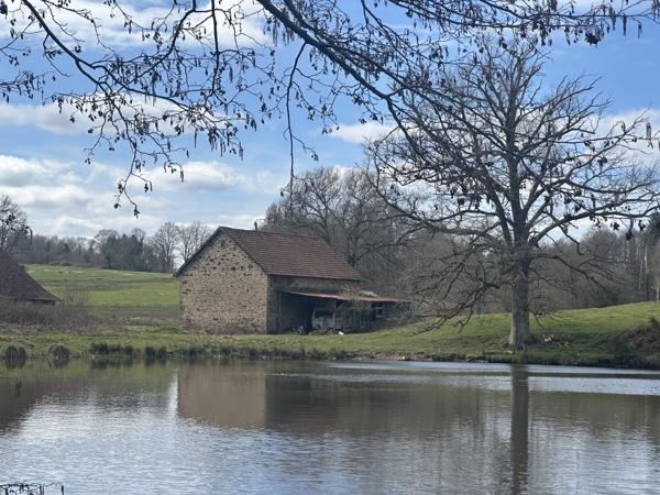 Lacs à vendre à Ladignac-le-Long (87500) - Haute-Vienne