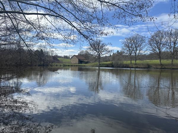 Lacs à vendre à Ladignac-le-Long (87500) - Haute-Vienne