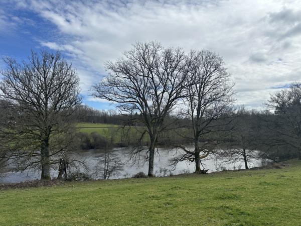 Lacs à vendre à Ladignac-le-Long (87500) - Haute-Vienne