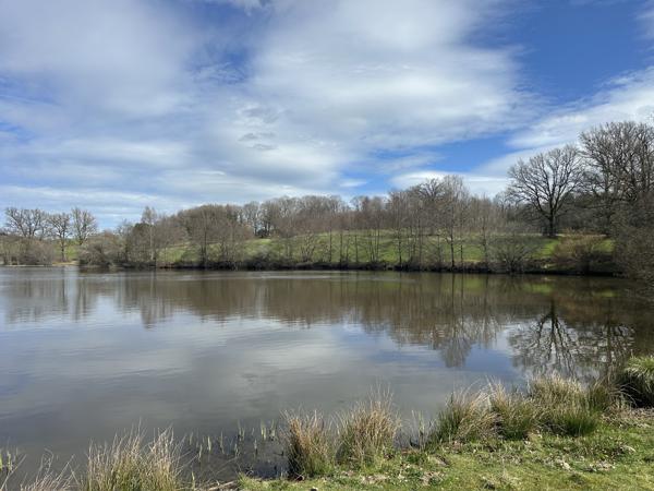 Lacs à vendre à Ladignac-le-Long (87500) - Haute-Vienne