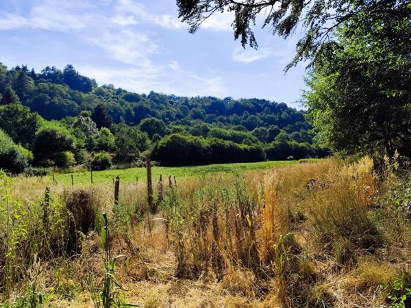 12 hectares de nature pour votre projet de vie