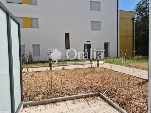 Appartement · Location Dijon (21000) 1 pièce · 25m²