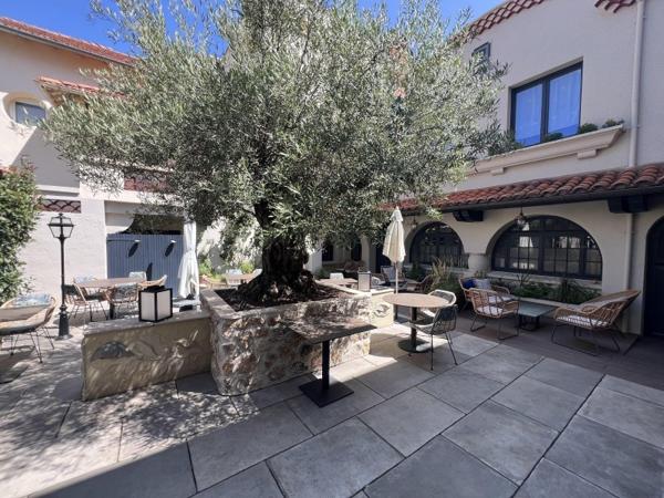 Vente murs / Immeuble à Renaison (42370)